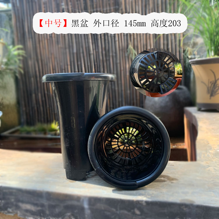 宸祥花卉 兰花专用盆疏松透气滤水