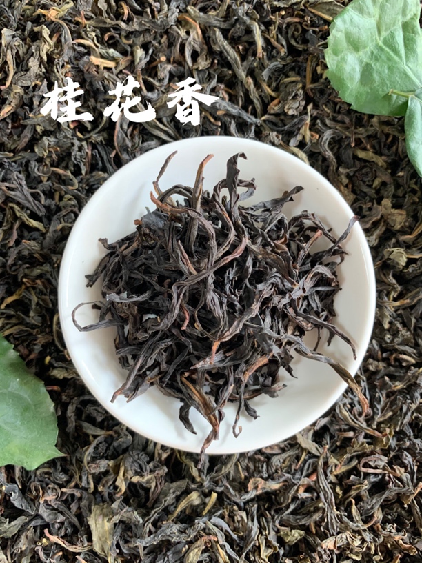 凤凰单丛茶正春茶桂花香单丛茶醇香型