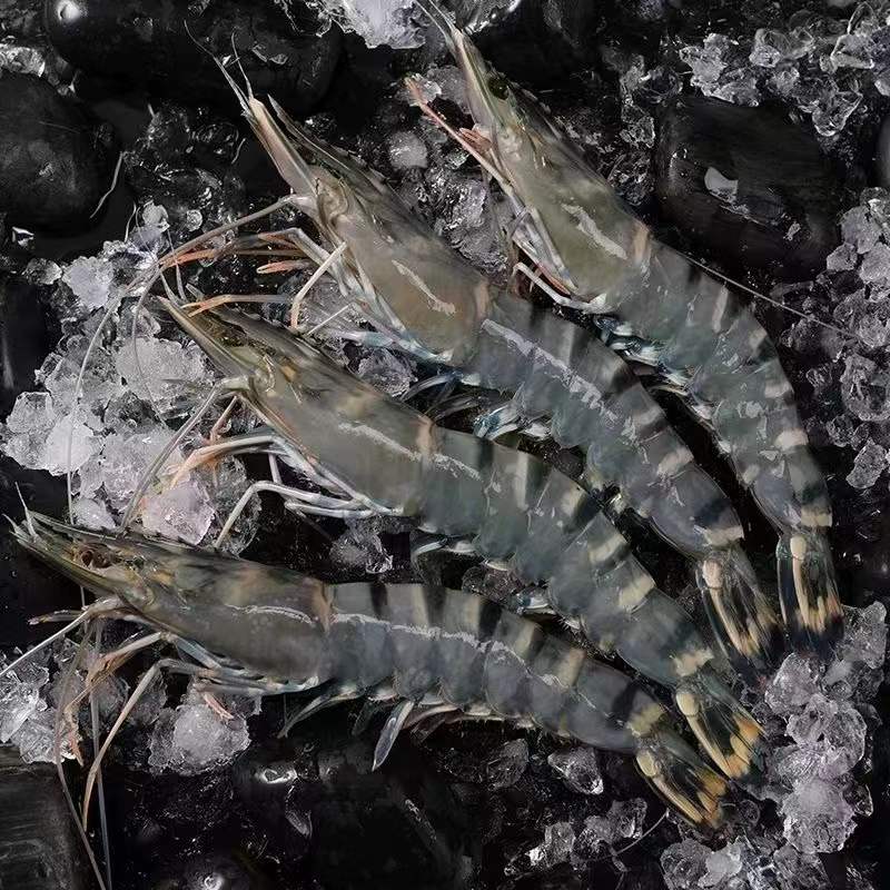 黑虎虾2030 深海捕捞大虾 净重3斤 青岛发货 