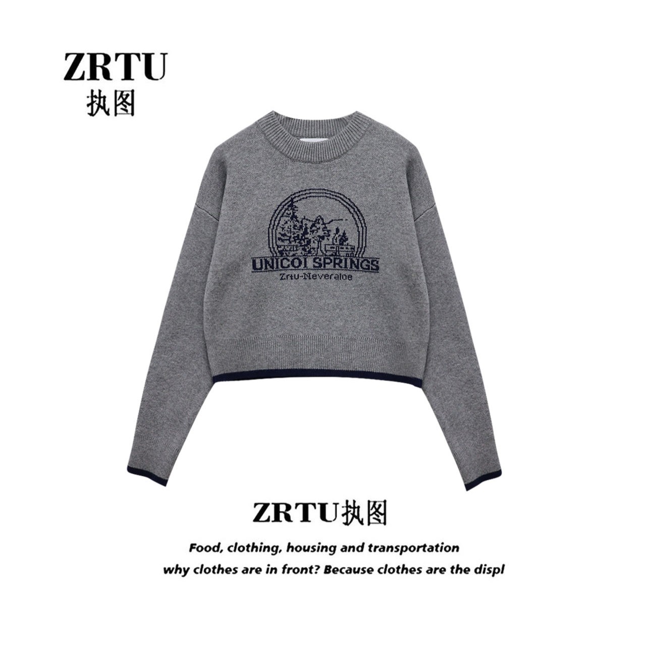 ZRTU/执图新款冬季圆领百搭慵懒提花设计感针织毛衣