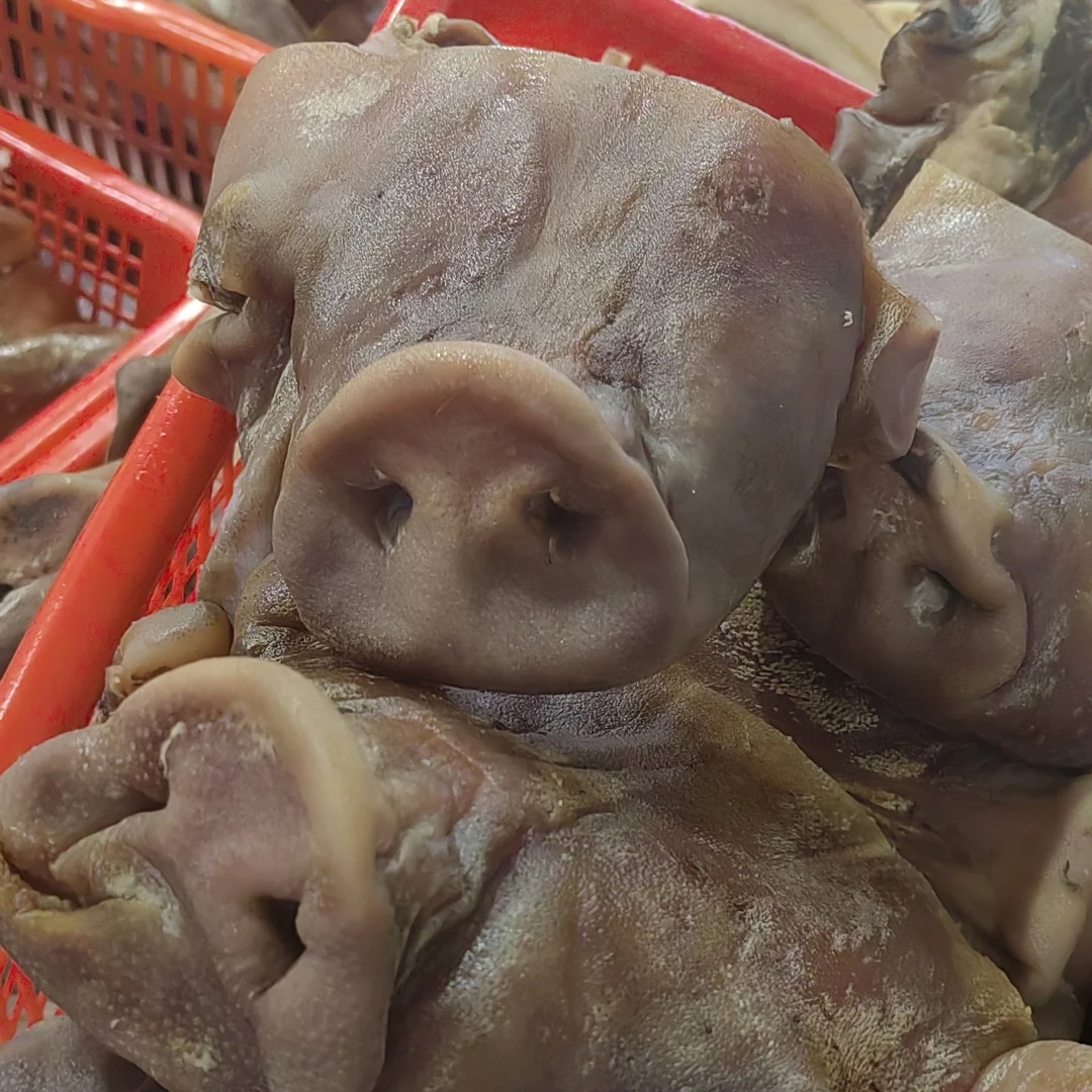 大别山黑毛猪猪鼻子