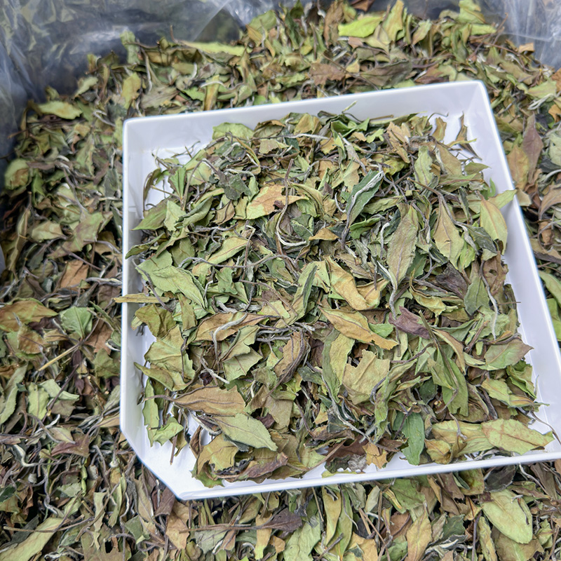 2025白露茶云雾滋润福鼎白茶正宗高山茶叶口感醇厚寿眉散茶