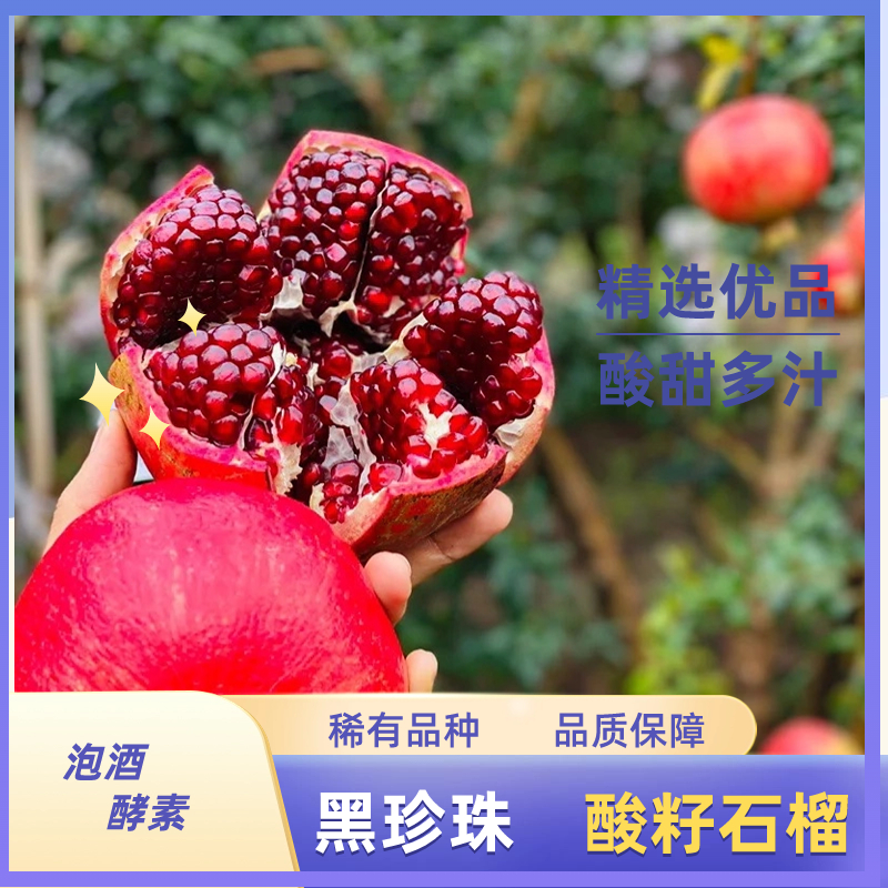【酸石榴】鸽子血酸石榴黑珍珠黑钻孕妇新鲜水果非甜石榴泡酒酵素