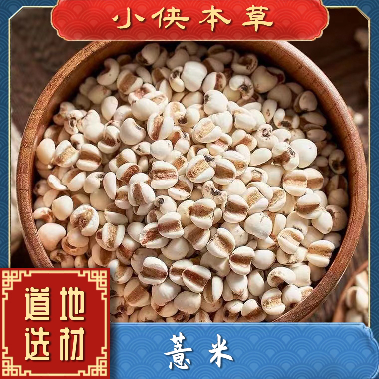 【小侠本草】精选薏米贵州道地薏苡仁薏米仁可搭配芡实茯苓正宗小米