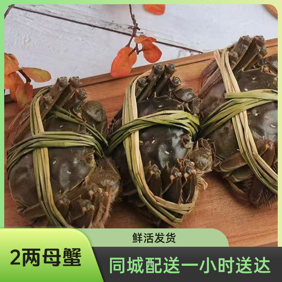 【2两母蟹一只】  数量自选  鲜活现货  活蟹现发