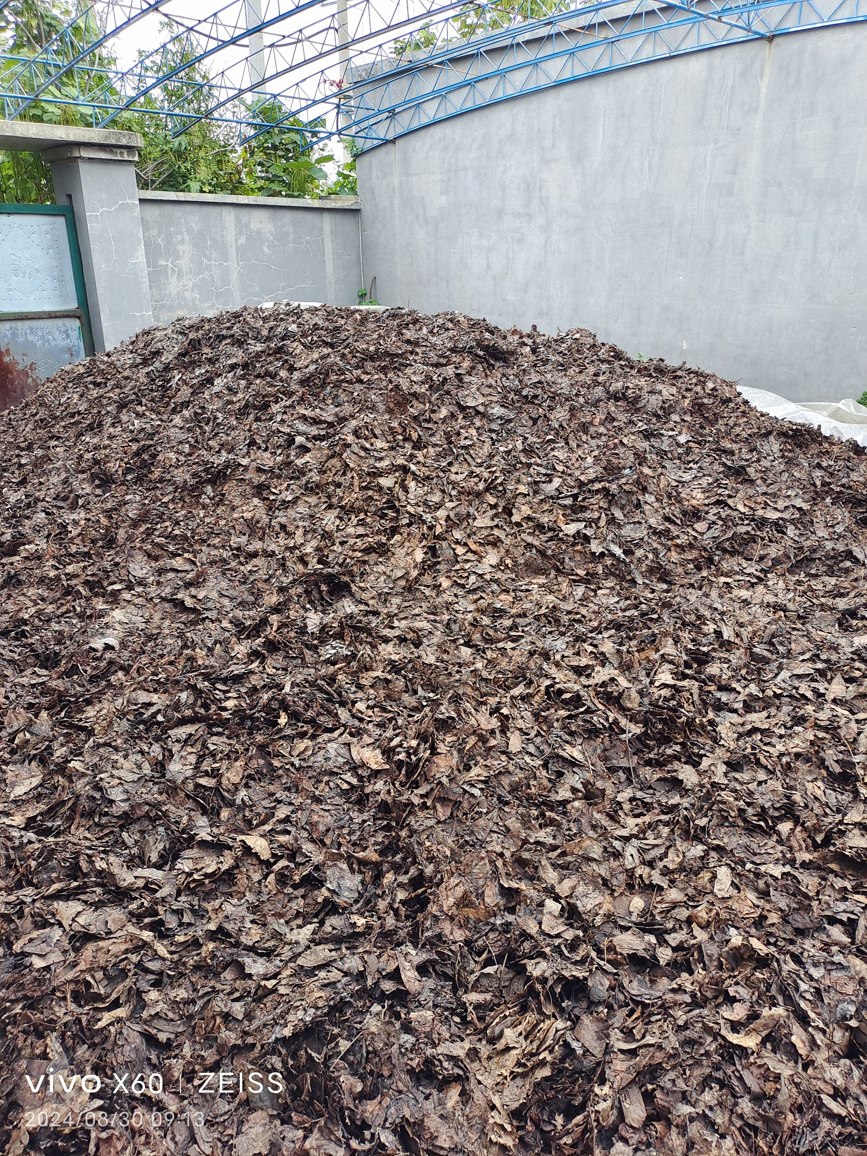 纯手工君子兰橡树叶花土（5斤）