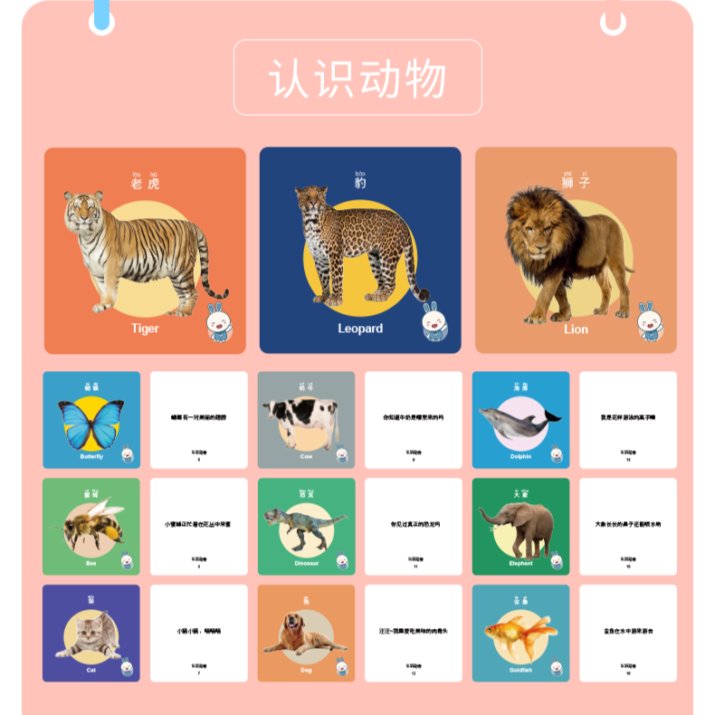 基础认知卡