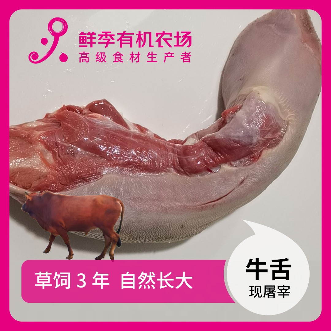鲜季 全自产 鲜牛舌1根空运/草饲3年以上 固形物含量80%以上