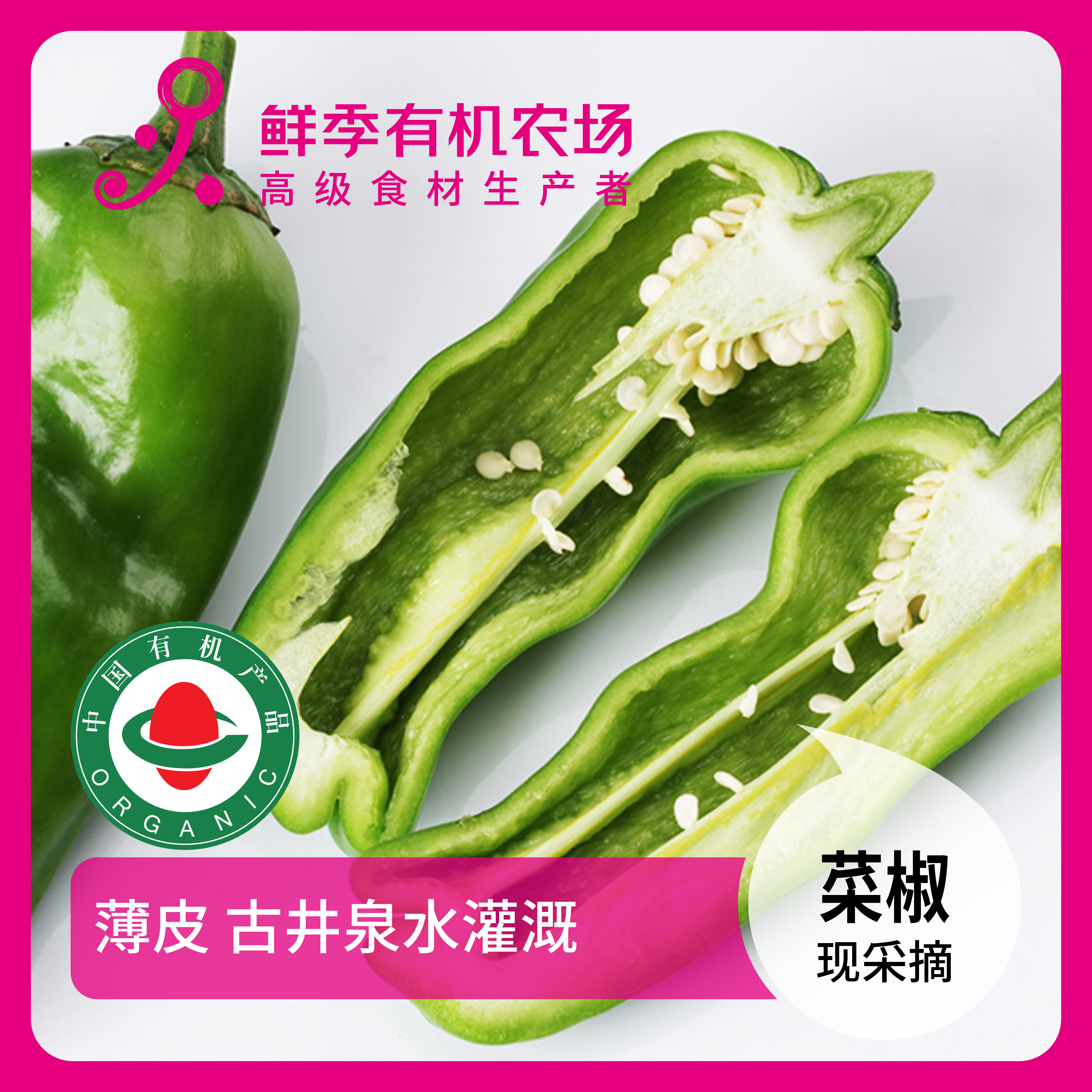鲜季全自产 有机薄皮菜椒 有点辣 300克 现采摘 顺丰特快空运