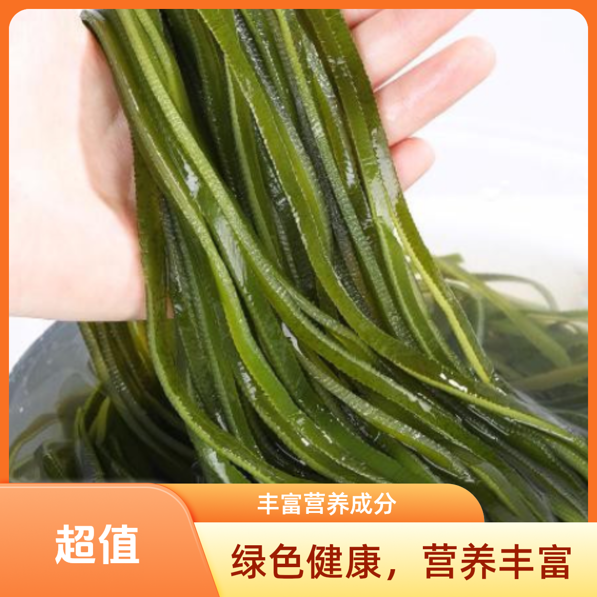 抢！【5斤新鲜海带丝】大连海带长丝厚丝涮火锅煲汤凉拌好吃鲜嫩营养