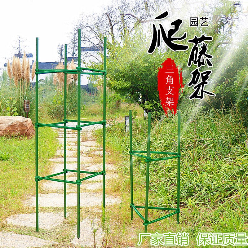 新品 西瓜爬藤架藤蔓植物爬藤架子南瓜爬藤架苦瓜爬藤架青瓜架番