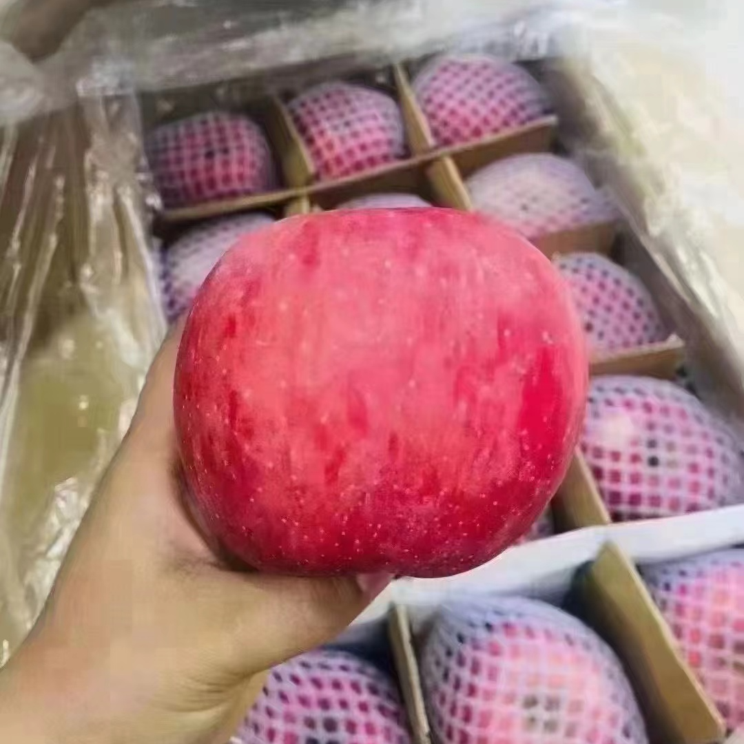 洛川红富士苹果2个装 约600g 脆甜多汁
