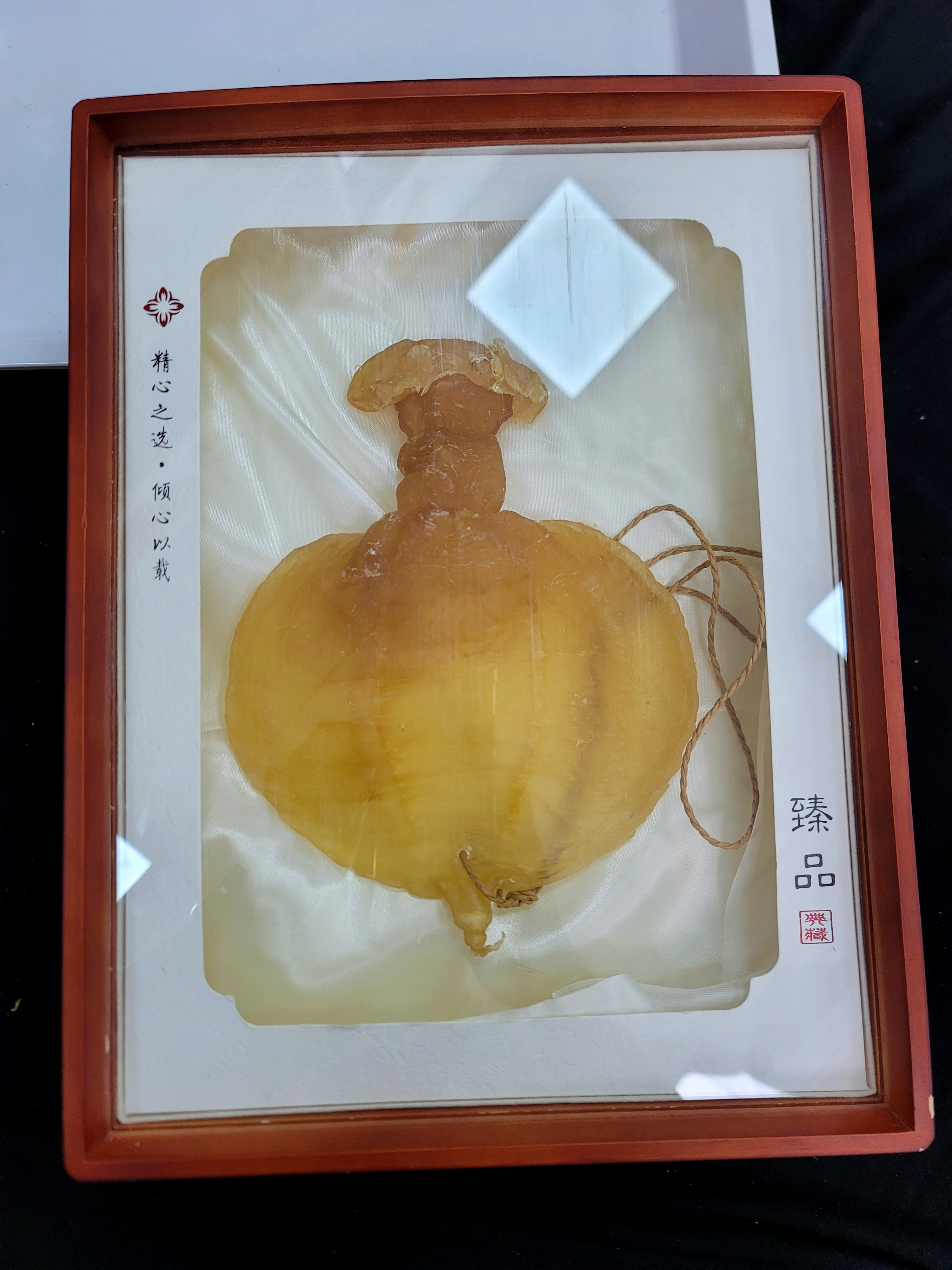 正南货石肚赤嘴 收藏当嫁妆少有二代石肚野生高货广东汕头1-500克