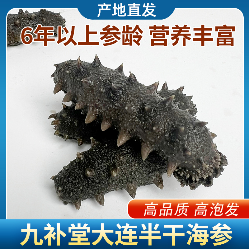 半干海参大连深海低播纯野生海参  孩子老人吃的真正好海参