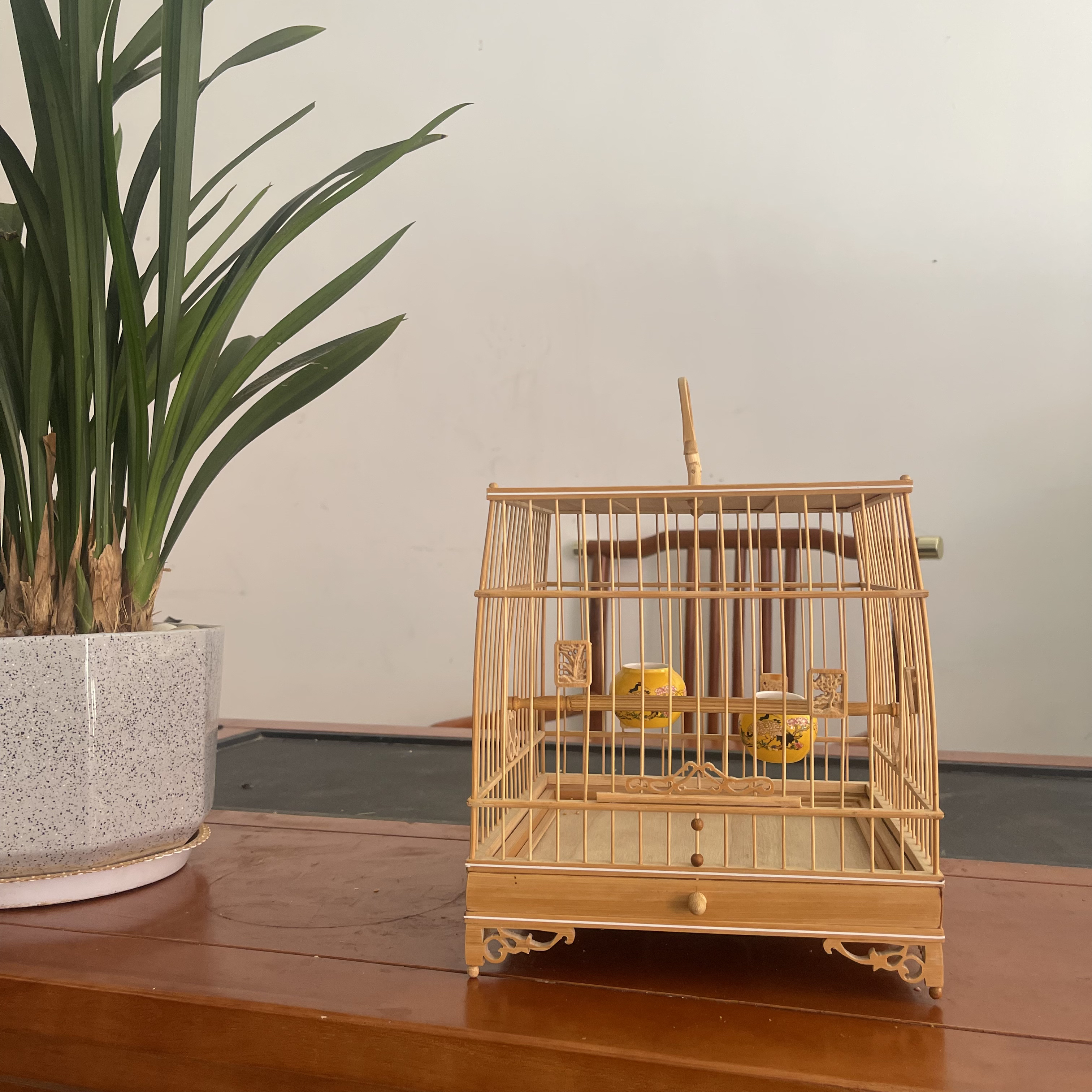 金青灰雁绣眼鸟笼