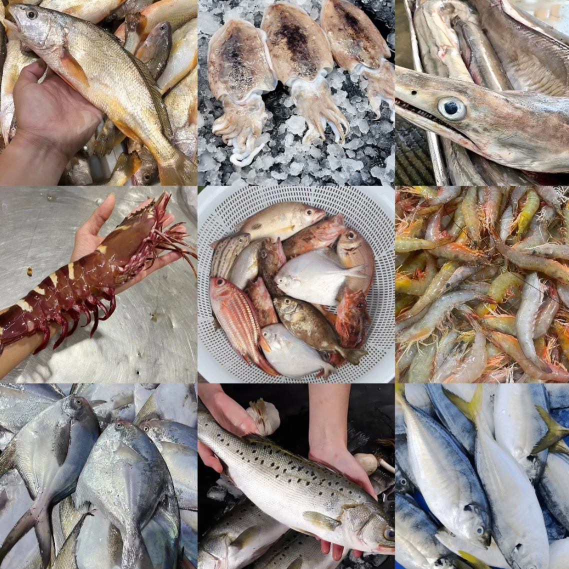 【海鲜套餐】1斤沙卢虾1条火箭鱿鱼1斤泥猛鱼1斤小白鲳鱼
