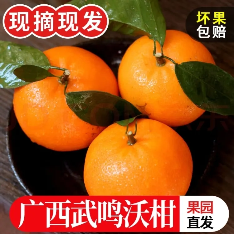 【百万补贴】云南高原沃柑新鲜现摘水果桔子超甜薄皮蜜桔茂谷柑橘
