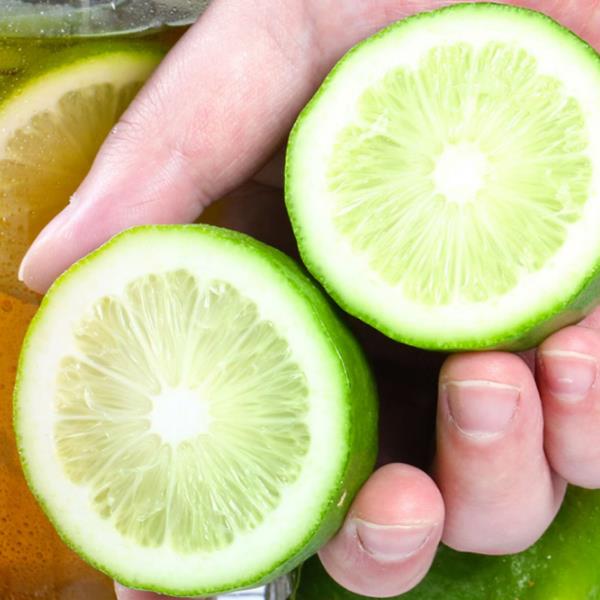 云苗库香水柠檬容器苗柠檬果树苗木适合盆栽地栽阳台庭院单株挂果