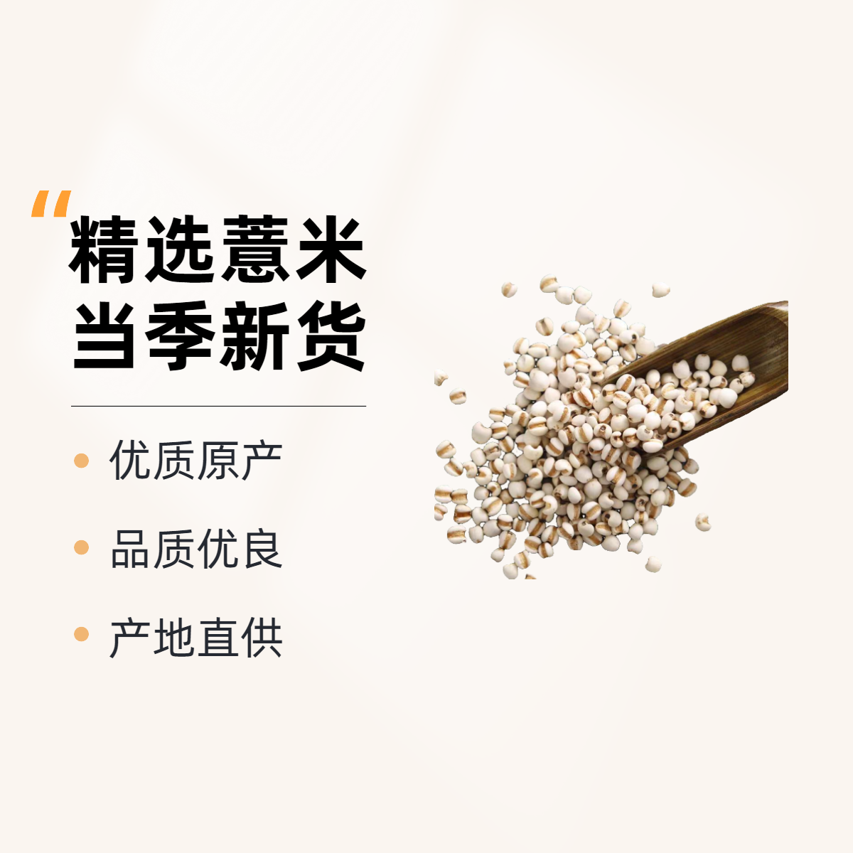 【90%人特选A级】干货大粒薏米仁无异味软糯易煮煲汤清补