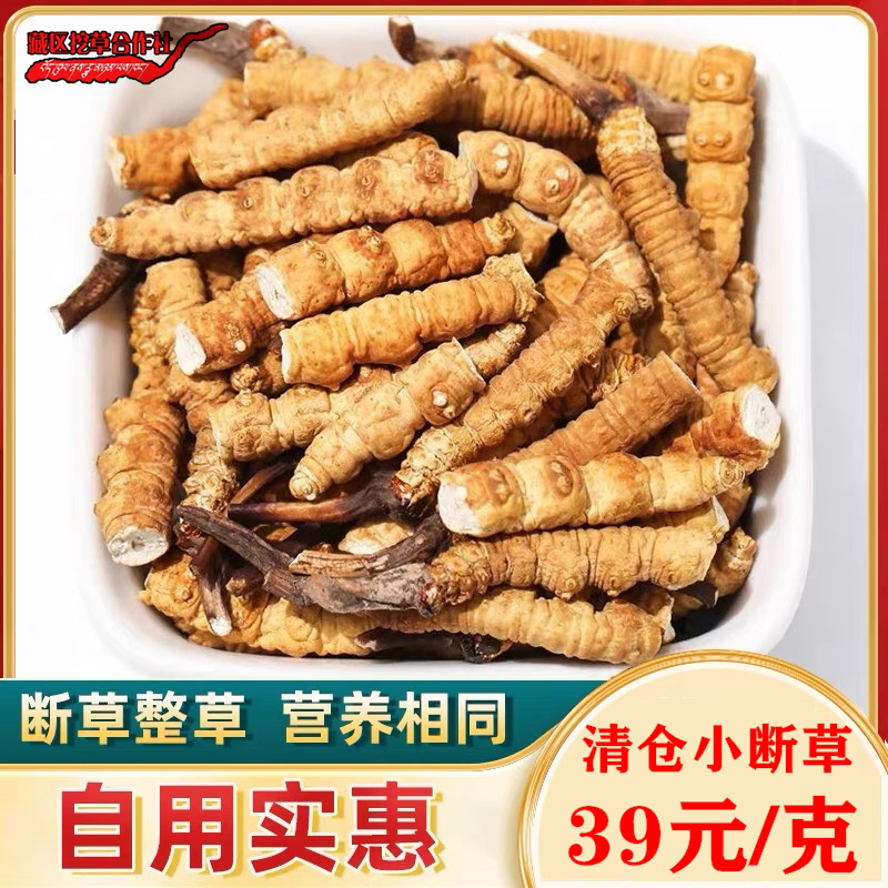 推荐自用断草超值虫草正品断草冬虫夏草高原特产泡酒冬虫夏草断草