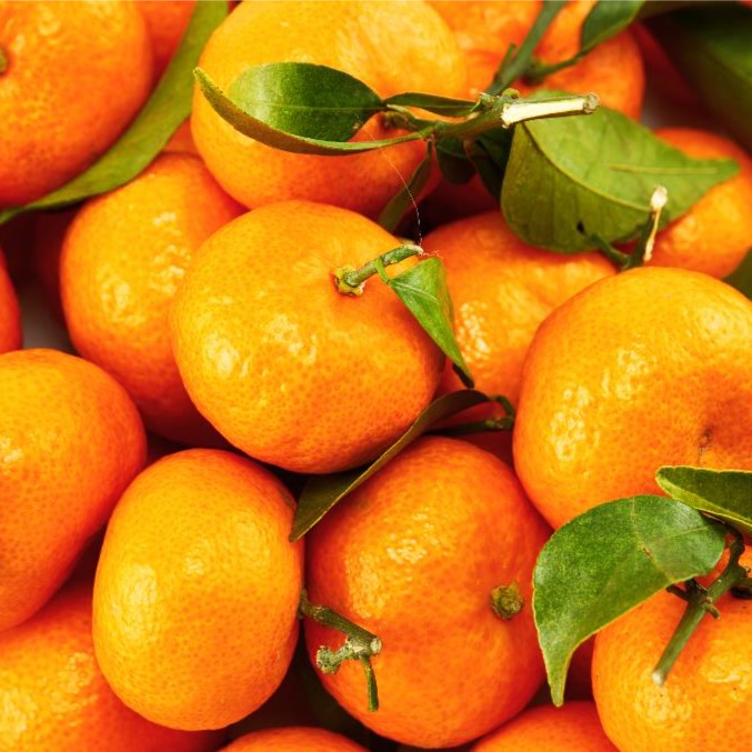 酸甜叶橘 皮薄 汁水足 2.5斤左右四川省