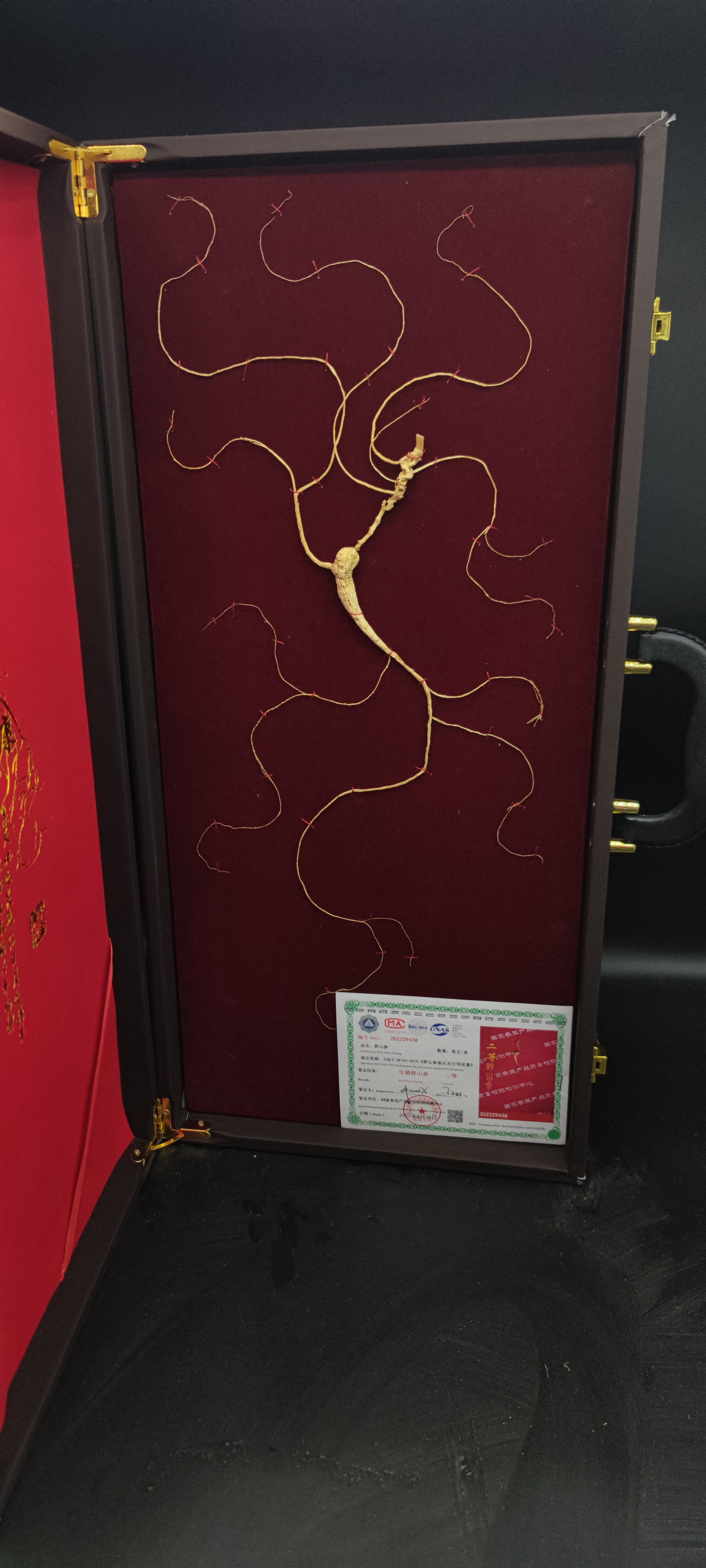 长白山25年以上人参60cm礼盒参，国检二等货皮盒直播选参