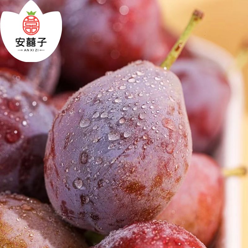 【新上市】精选大西梅300g