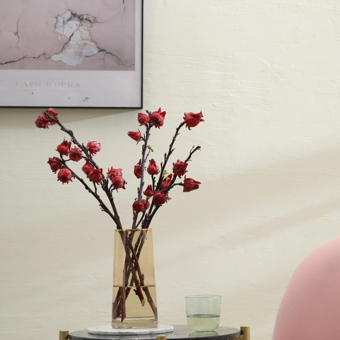 高品质【皎若朝霞洛神花】云南基地直采直发