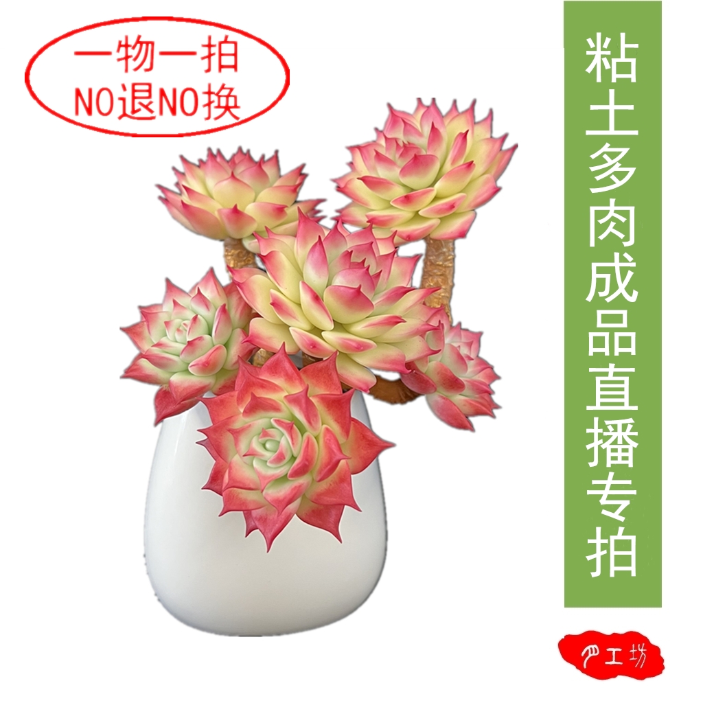 永生多肉 仿真手工粘土多肉  工艺品摆件装饰
