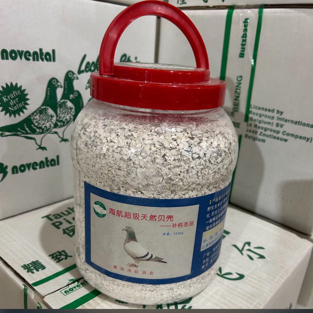 海航超级天然贝壳  补钙圣品