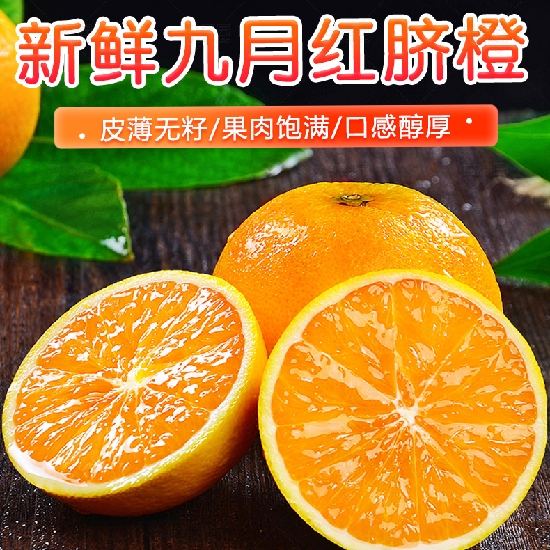 湖北秭归九月红爆汁橙子新鲜净重4.5斤现摘现发