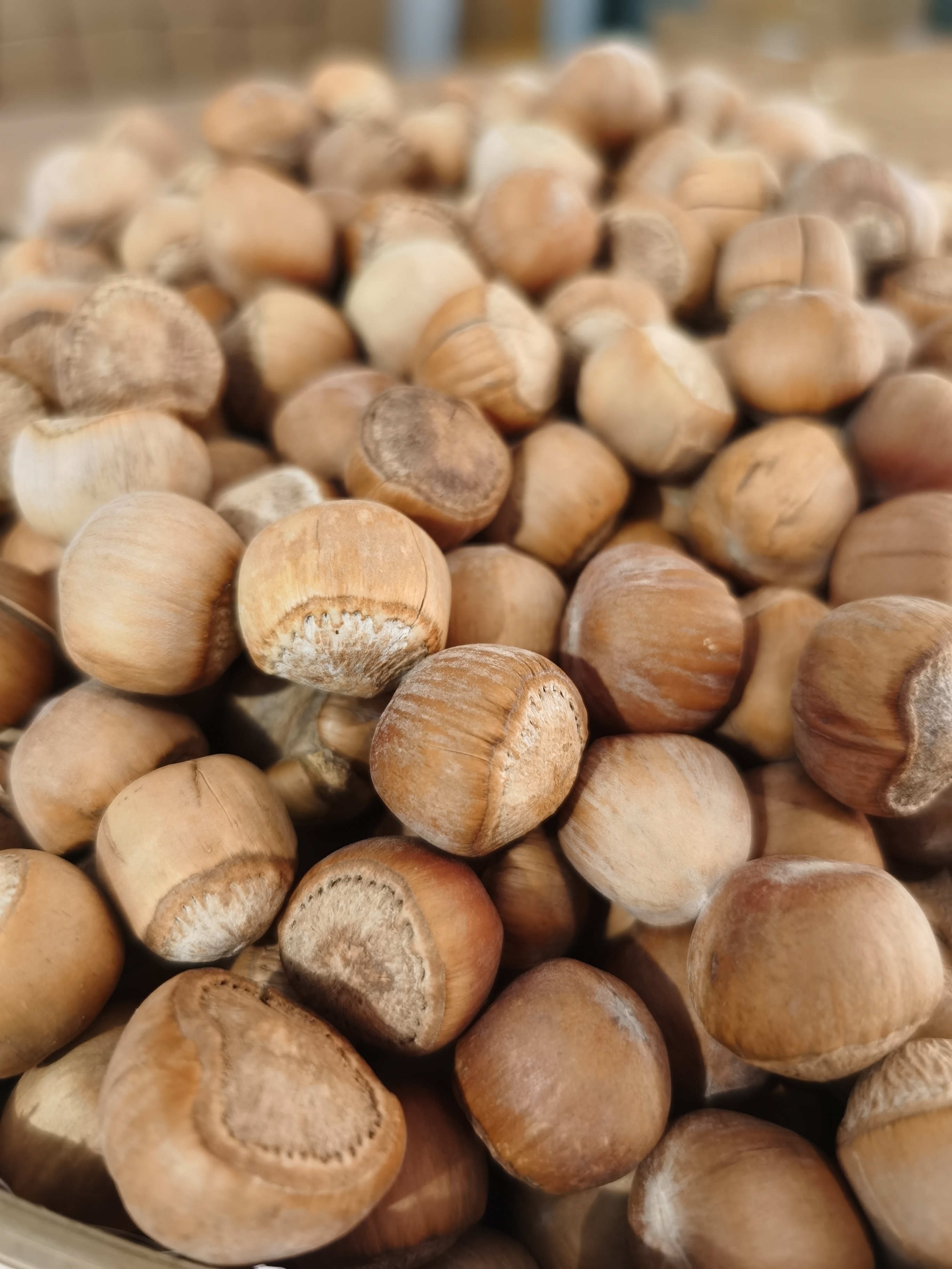 喜哥家生榛子生果，（生果，生果，生果）（单粒直径1.1-1.3cm之间）