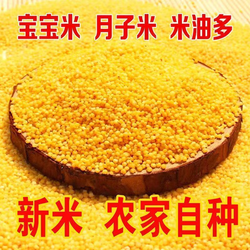 黄小米新米5斤陕西农家养胃糯小米月子油小米五谷杂粮小黄米10g