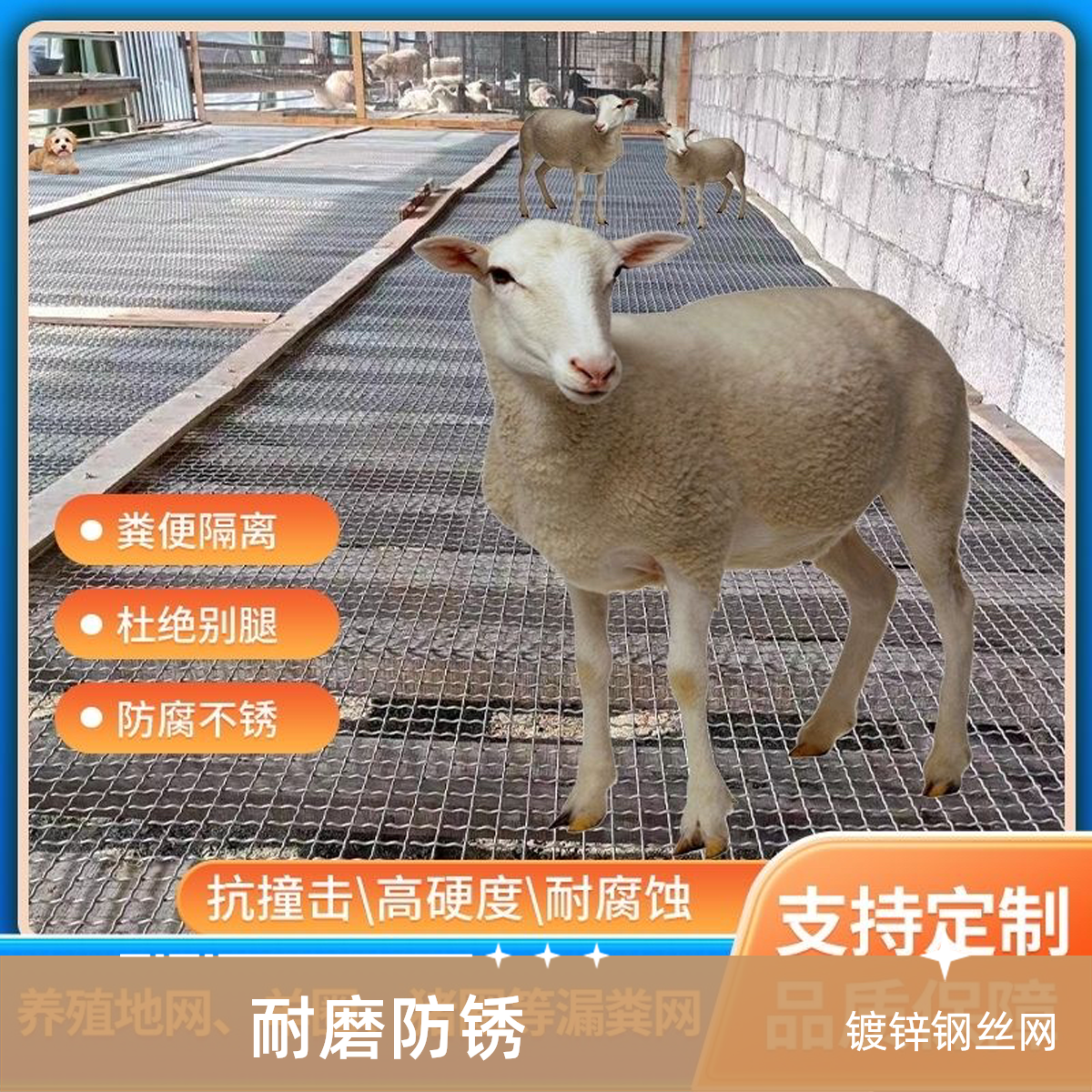 热镀锌钢丝羊床漏粪网铁丝防护鸡鸭鹅育雏网围栏网防锈耐磨养殖网