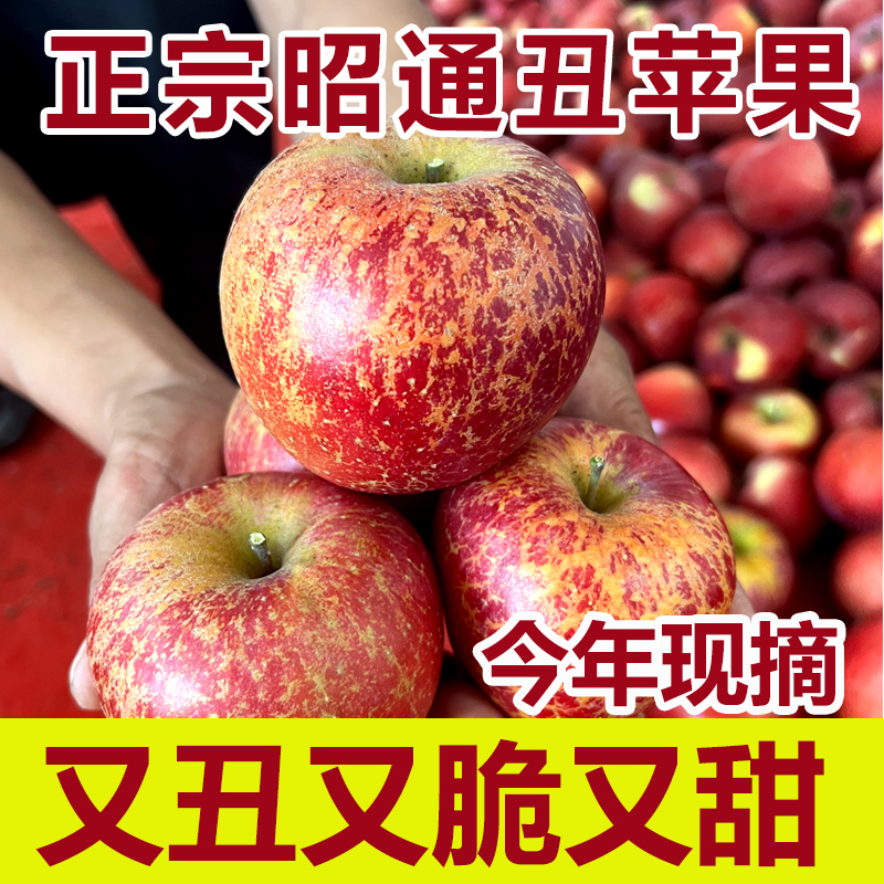 正宗云南昭通苹果苹果新鲜脆甜水果现摘冰糖心糖心丑苹果