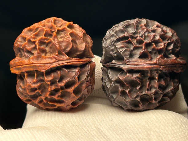 45mm凤凰牡丹 云南铁核桃