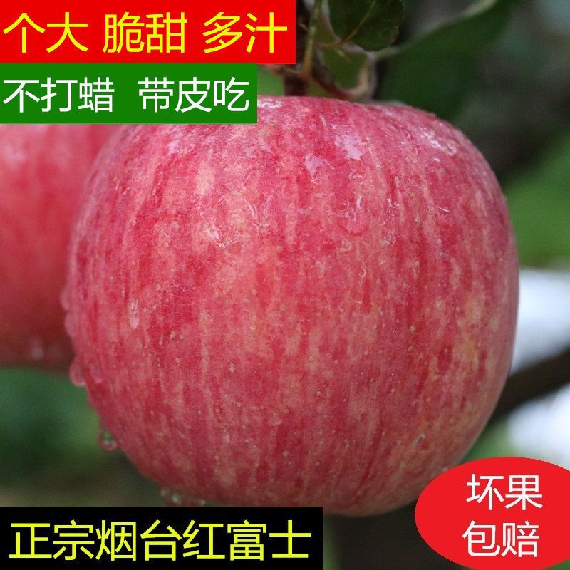 苹果水果新鲜烟台烟台红富士山东烟台红富士2/5/10斤脆甜多汁好吃