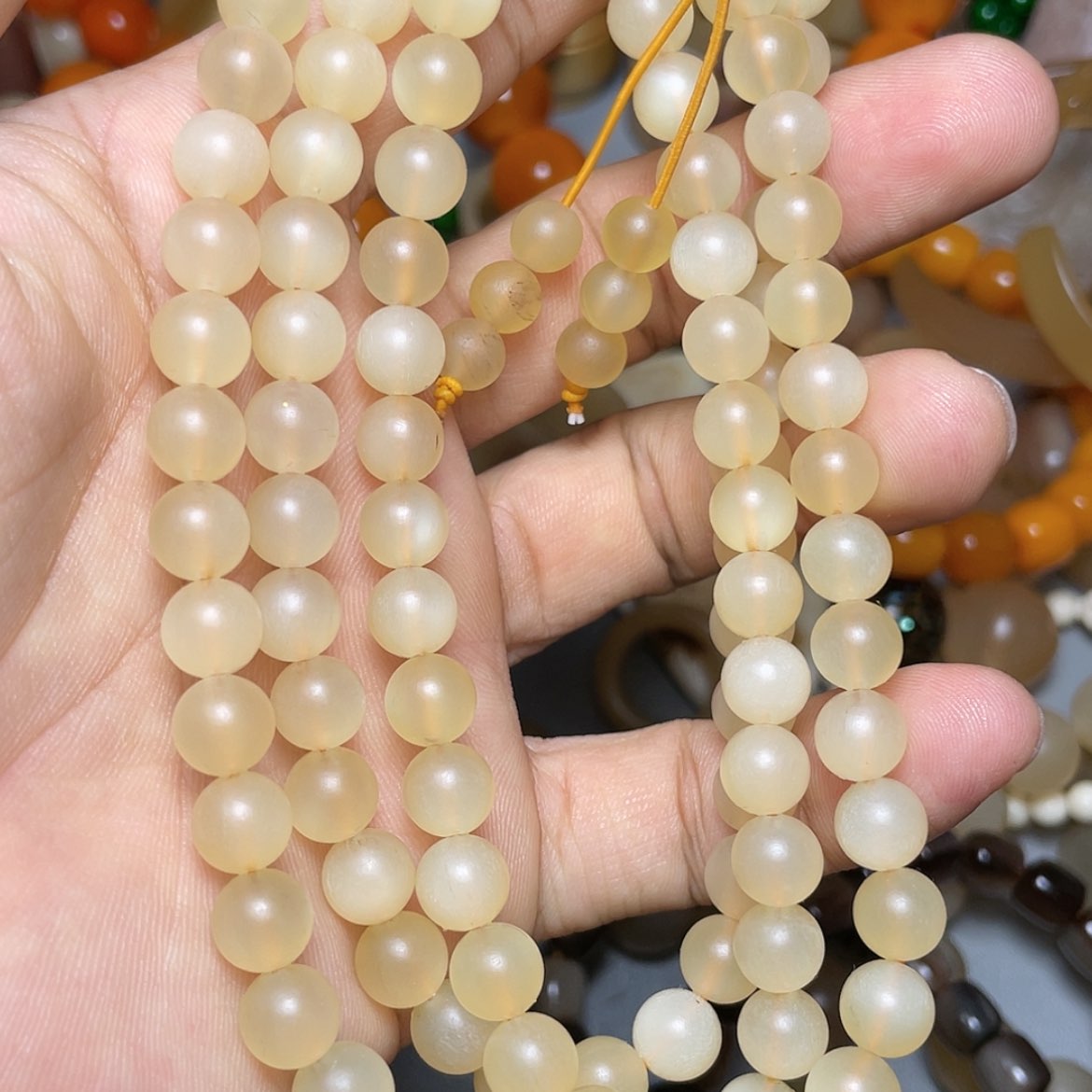 【闪购商品】红贵宝