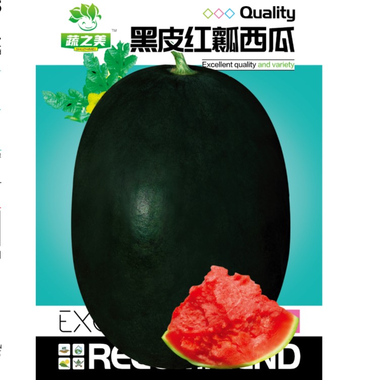 【黑皮红瓤大西瓜种子】阳台庭院好种易熟皮薄瓤脆