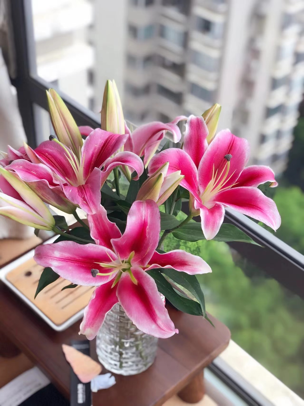 帕拉佐香水百合花-云舍鲜花卉鲜切花材大花苞基地顺丰包邮养护