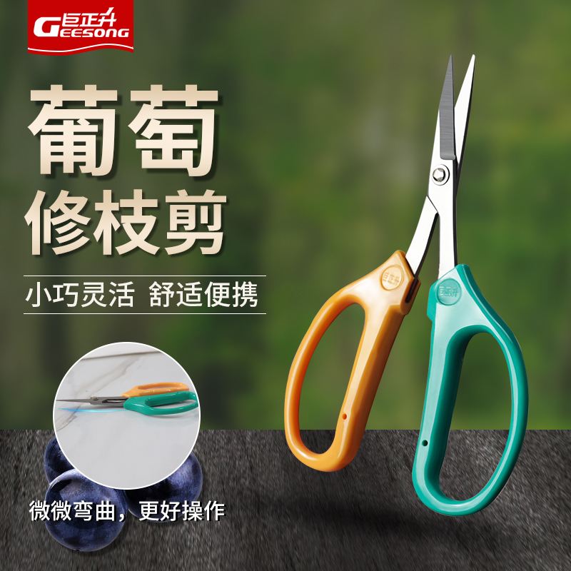 翘头葡萄修果专用剪刀疏果稀果剪花椒采果蔬果剪枇杷橘子采摘修枝