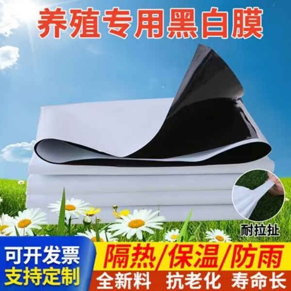 进口黑白膜加厚养殖大棚黑白反光隔热膜防晒塑料布食用菌绿白膜