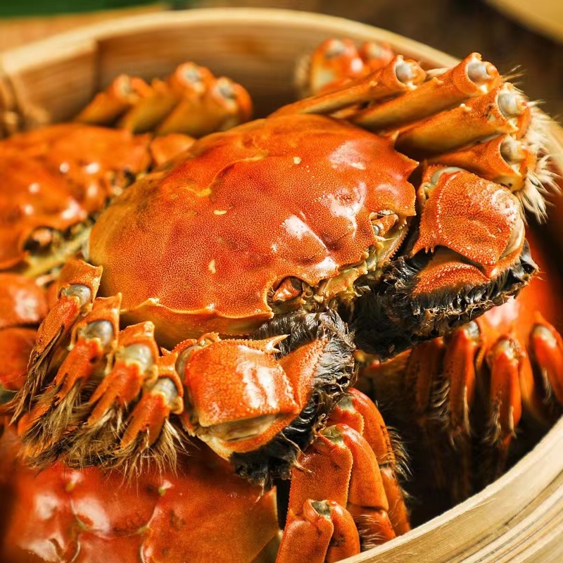 【活蟹】4.7母 4.7公 江苏精品大闸蟹