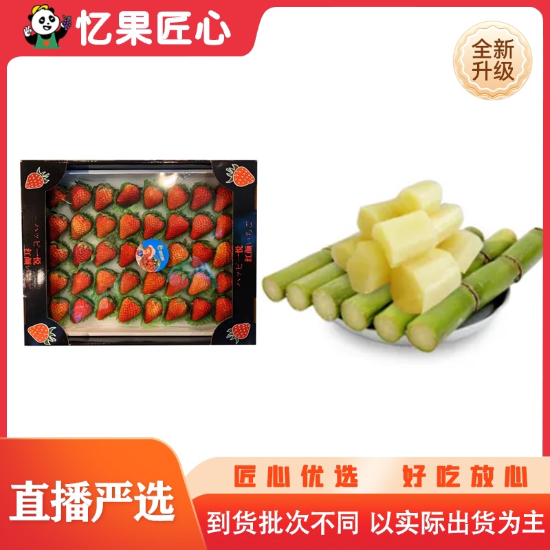 红颜草莓一箱1.5-2斤（开播福利 送男神甘蔗一盒）