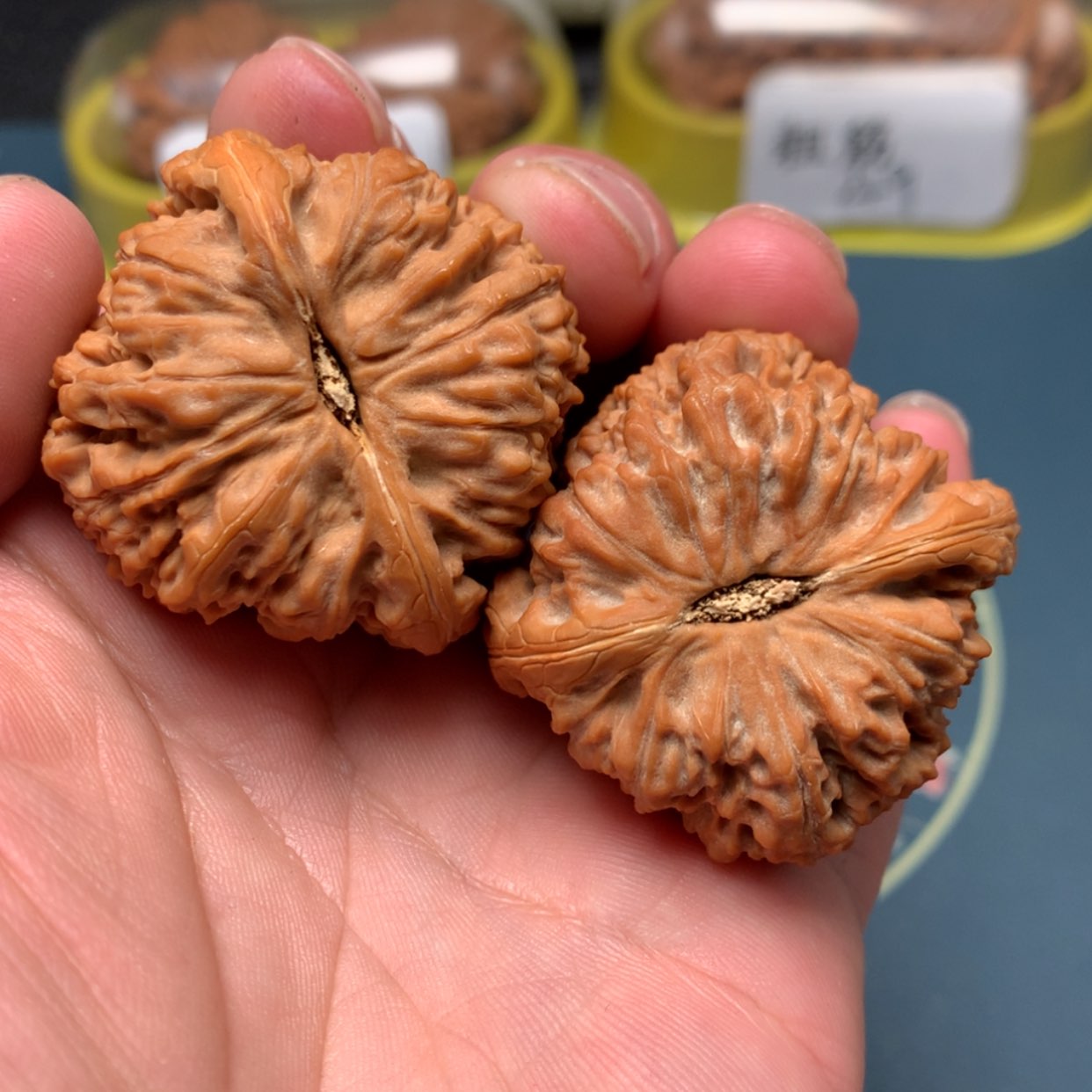 【闪购商品】文玩核桃把件42-10398-4