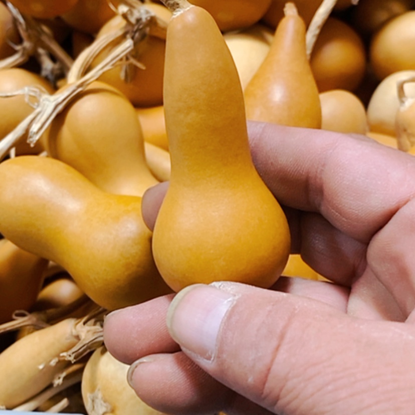 【闪购商品】铜葫芦茶****坊
