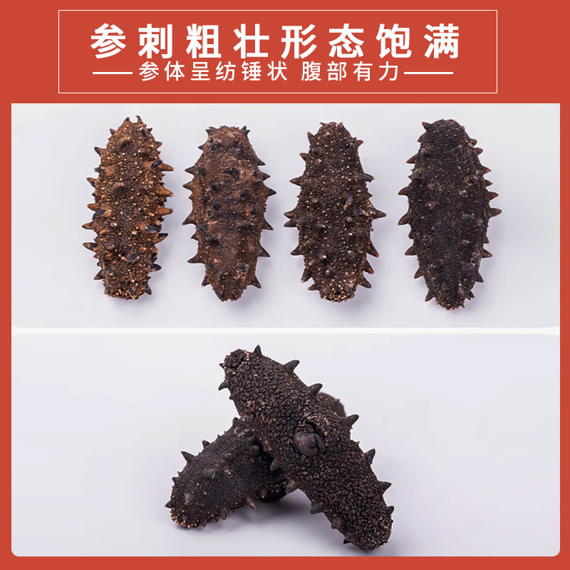 长岛大钦岛头茬秋参海参淡干70-80头一斤 口感甄选肉质肉厚营养