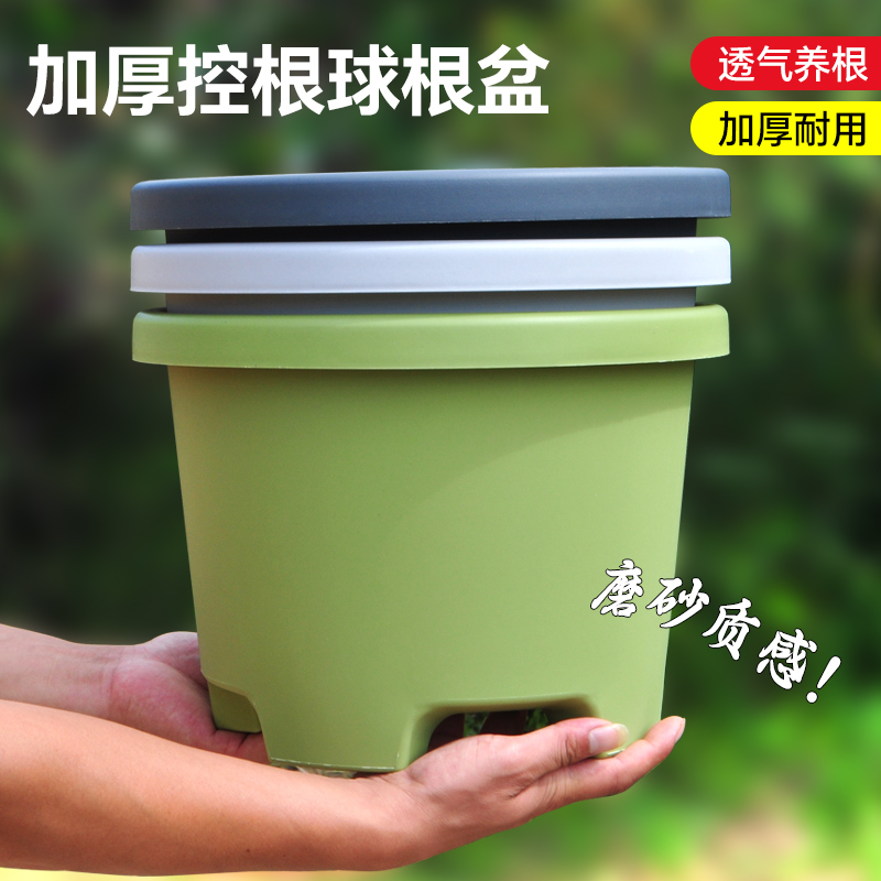 加厚球根盆种球盆树栽朱顶红百合郁金香香铃控根高档盆