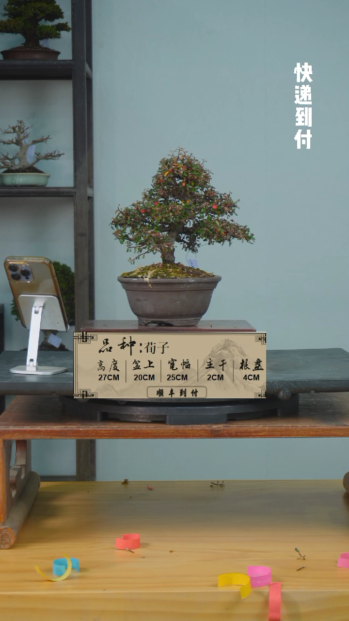 【闪购商品】1f392荀子bubaoyou