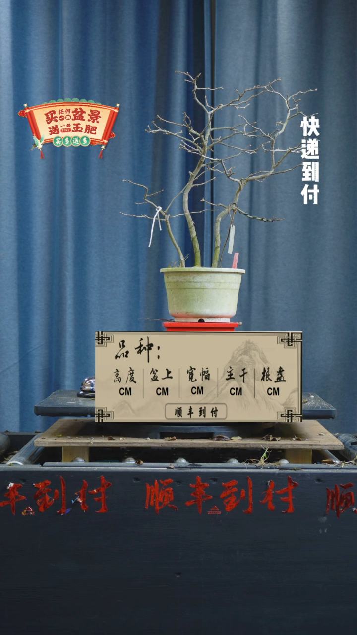 【闪购商品】1128老鸦